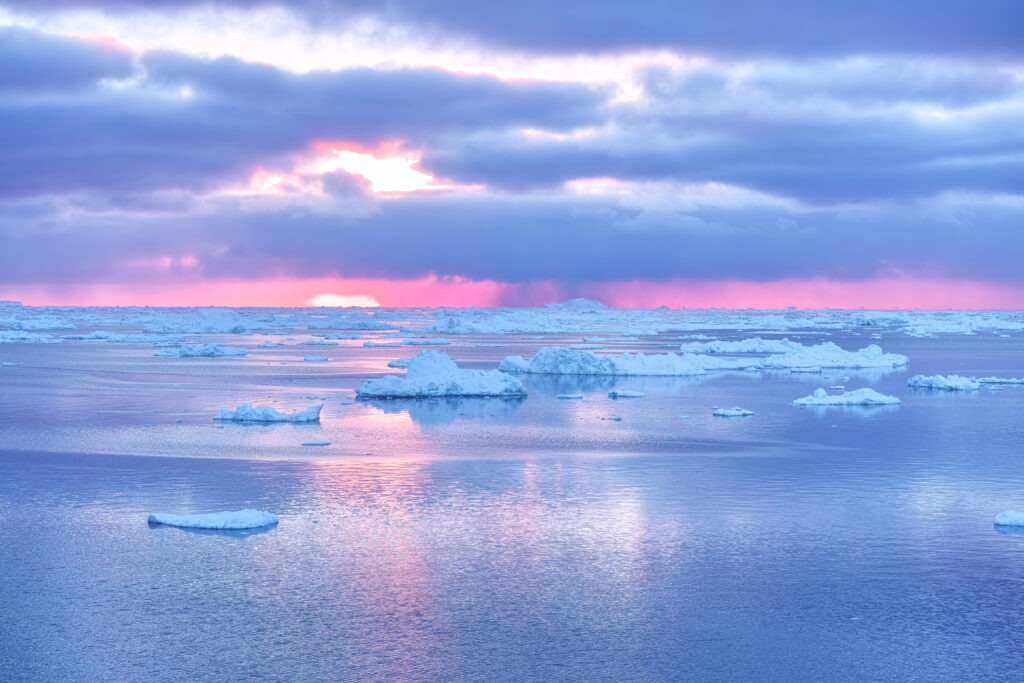 Voyage en Antarctique