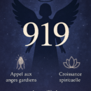 Signification nombre 919