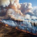 Incendies en France : pourquoi le manque de Canadair ?