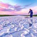 Production de gros sel à Noirmoutier : 40 tonnes par saison
