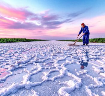 Production de gros sel à Noirmoutier : 40 tonnes par saison