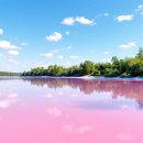 Le secret derrière le lac rose chaque été en France