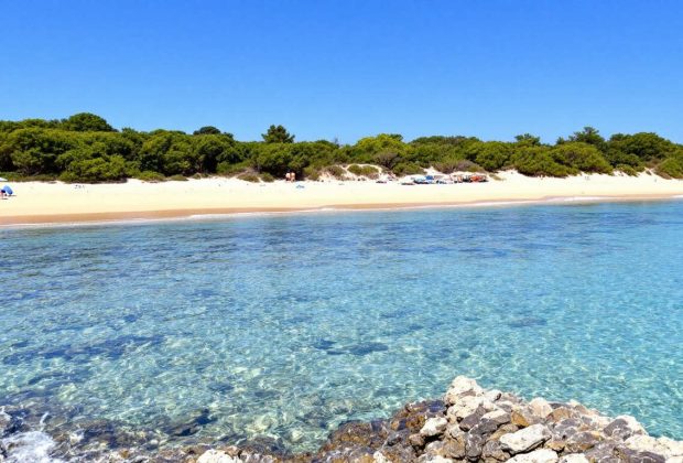Plage Notre-Dame : trésor naturel de l'île de Porquerolles
