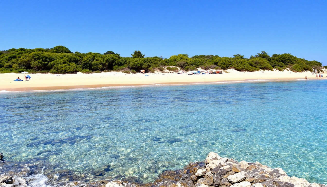 Plage Notre-Dame : trésor naturel de l'île de Porquerolles