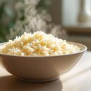 Expérience : que se passe-t-il en mangeant uniquement du riz pendant 3 jours ?