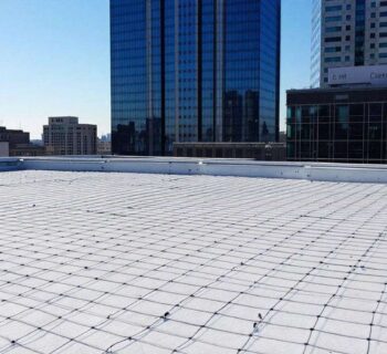 Protection Efficace : utiliser un Filet Anti-Pigeon