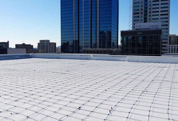 Protection Efficace : utiliser un Filet Anti-Pigeon