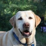 8f3eddd0eca6560194469d676de8e430