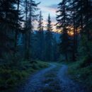 Rituel de Vœux Brûlés : magie et Signification