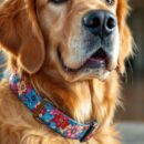 Collier pour chien personnalisé : offrez-lui un style unique !