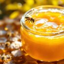 Gélée Royale : quels Risques Pour La Santé ?